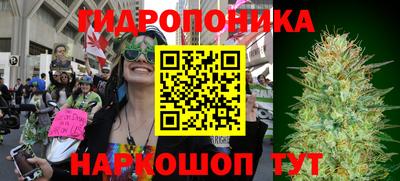 стафф Новокубанск