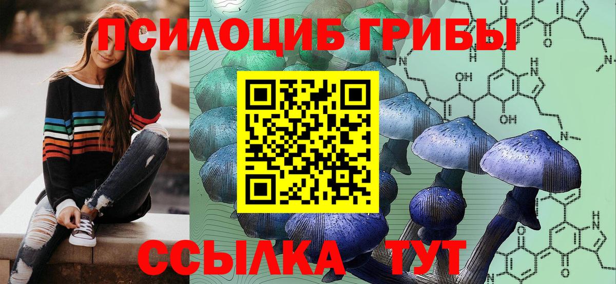 Севастополь  Галлюциногенные грибы Magic Shrooms  Вход с VPN 